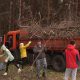 Городской субботник в сосновом бору