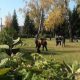 Областной субботник «Кузбасс в порядке»