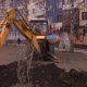 Благоустройство газонов