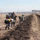 Расти, шуми, «шахтерский» лес!