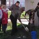 Алые гроздья рябин — гордость музыкальной школы №12