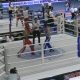 Кикбоксеры вернулись с наградами
