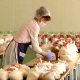 «Продуктовая корзина» для школьников