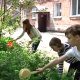 Чистый двор – общее дело