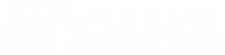 РИА "ЛЕНИНСК"